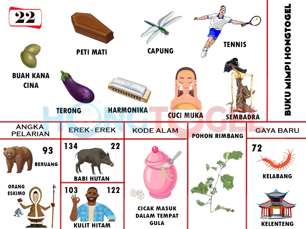 buku mimpi erek erek togel 22
